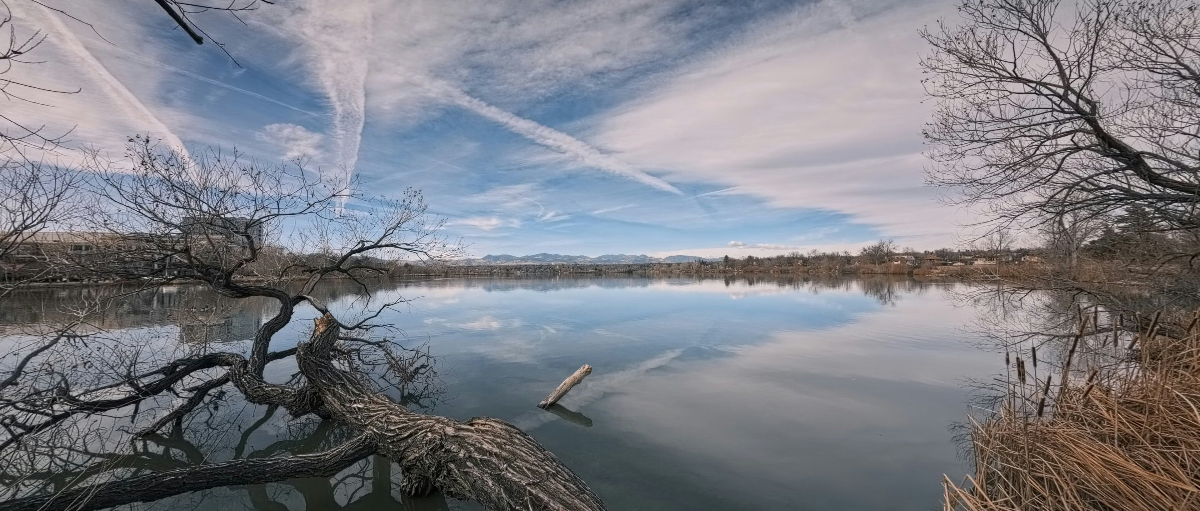 Steady and Sharp: How to Choose a Tripod for Every Environment