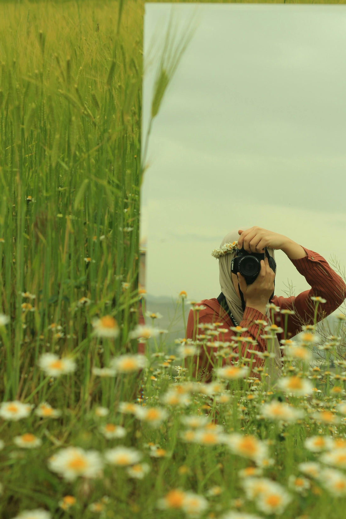 Steady as the Breeze: Capturing Detailed Blooms with Travel Tripods