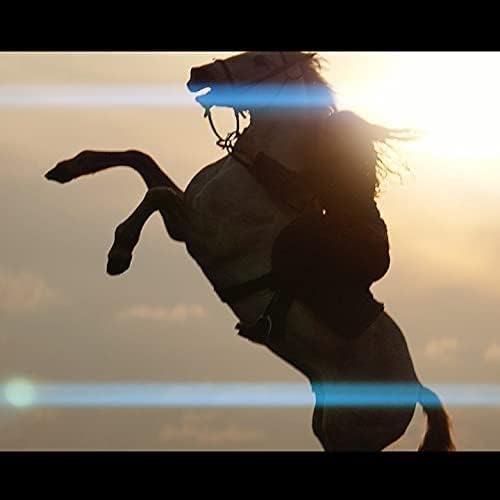 SIRUI 75mm F1.8 1.33X S35 Anamorphic Lens for L Mount, Blue Flare