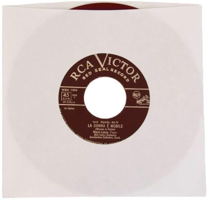 (500) Archival Quality Acid-Free Heavyweight Paper Inner Sleeves for 7 Inch Vinyl Records #07IW