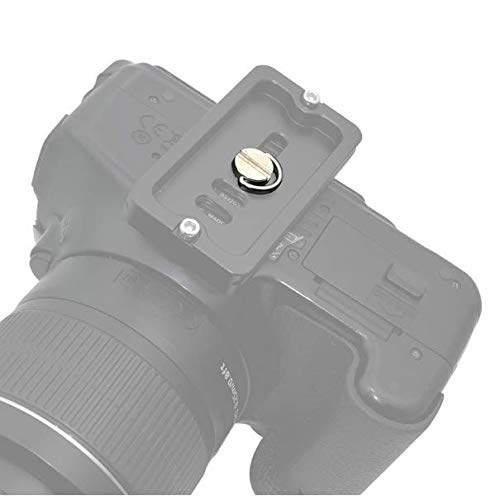 WOIWO 2PCS 1/4-inch Camera Screw Stainless Steel Tripod Head Rapid Mounting Plate Screw,One Slot Lengthened Quick Unscrew.