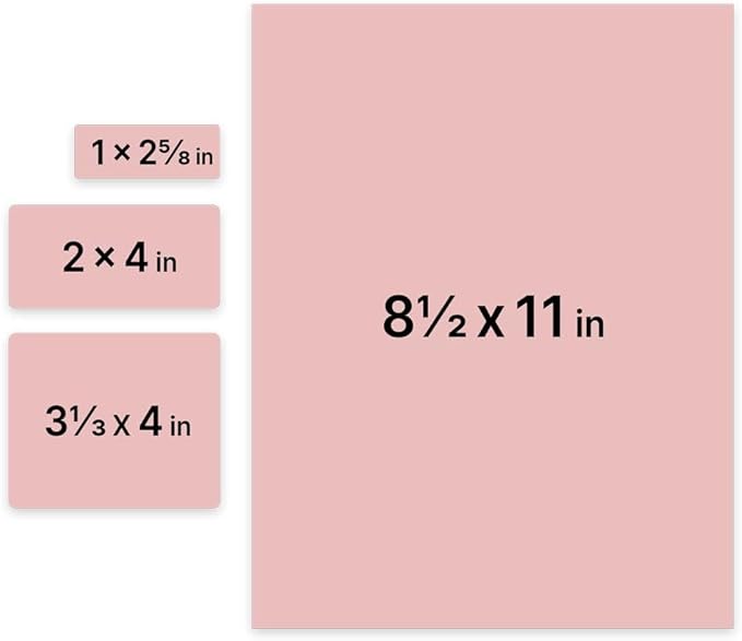 JAM PAPER Shipping & Mailing Address Labels - Multi Size Assortment - Baby Pink - 370/Pack