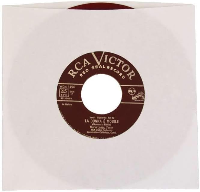 (2000) Archival Quality Acid-Free Heavyweight Paper Inner Sleeves for 7 Inch Vinyl Records #07IW