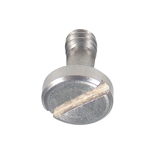 BGNing 2 Pcs M5 Knurled Thumb Screw Threaded 1/4 3/8 Thumbscrew Knobs Adapter Mount High Step Slotted Head Hand Tighten Compatible with GoPro Cameras (2Pcs 1 4 Steel Screw)