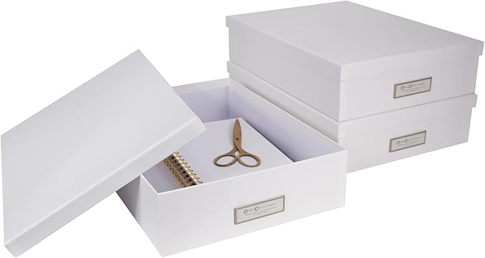 Bigso Oskar Fiberboard Label Frame Document Letter Box - File Organizer Box for Important Paperwork - Document Storage with a Lid & Label Window - 3.3 in x 10.2 in x 13.8 in - 3 Pack - Dark Grey