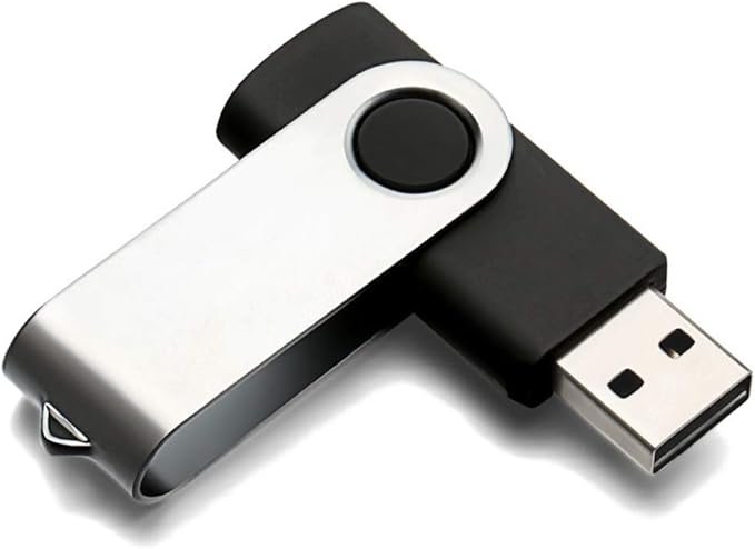 USB Flash Drive 1GB 20 Pack, Bulk USB 2.0 Flash Drives Thumb Drive Swivel Memory Stick Jump Drive Pen Drive,1 gig 20 Pieces
