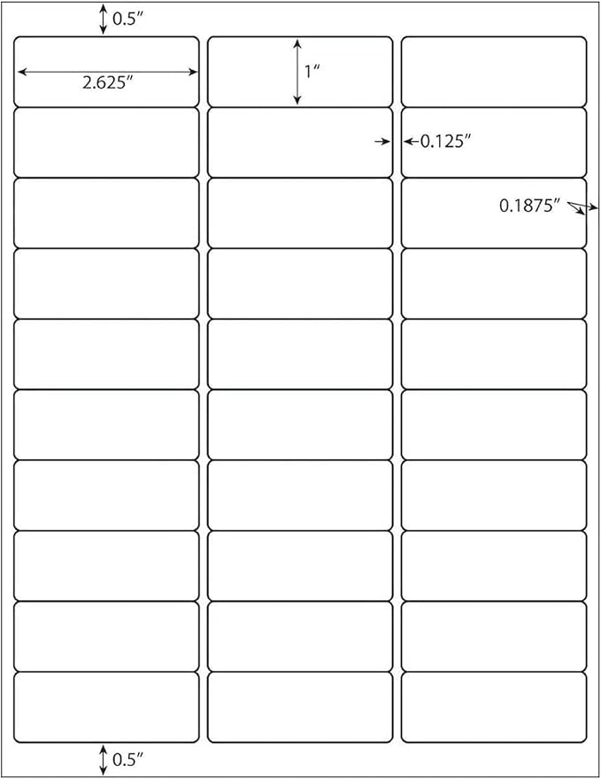 LabelMore 30 up Labels 1" X 2-5/8" Shipping Address FBA Label for Laser and Inkjet Printers (5000 Sheets / 150000 Labels)