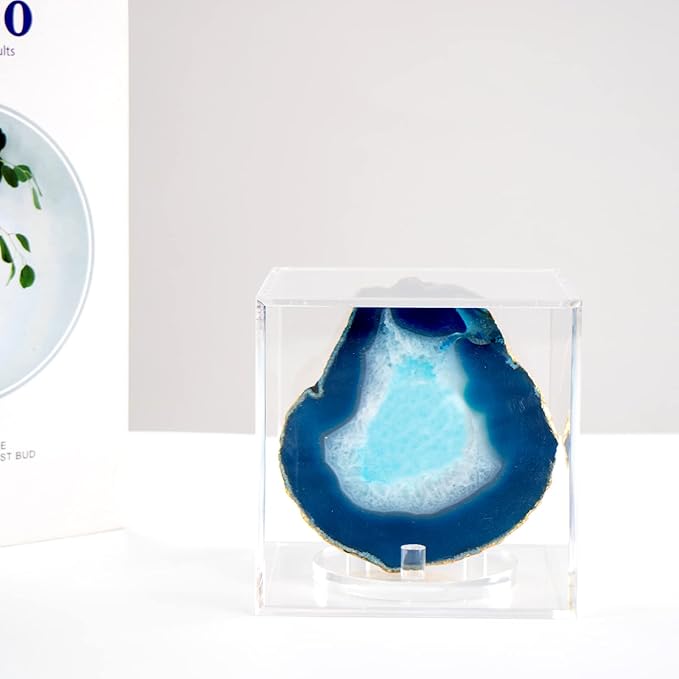 Clear Acrylic Mineral Geode Fossil Coral 3-Peg Round Holder Dustproof Box, Painted Rock Agate Crystal Small Collectibles Display Stands Easel, Multiple Display Box (Large-5x5x5in, 1Pcs)