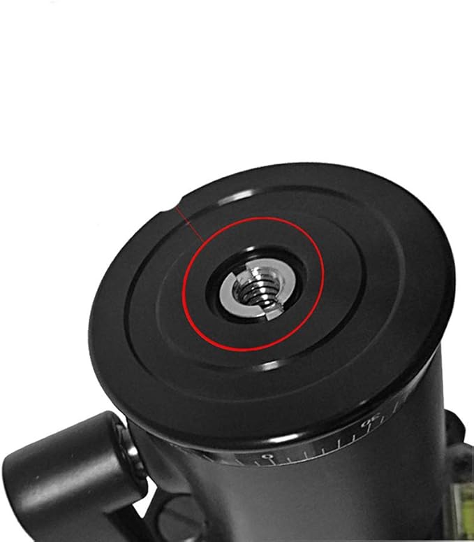 3/8" to 1/4" Tripod Ballhead Reducer Bushing Convert Screw Adapter,1/4" to 3/8" Tripod Ballhead Camera Convert Screw Adapter Mount for Tripod Monopod Ballhead Video Light Stand DSLR SLR