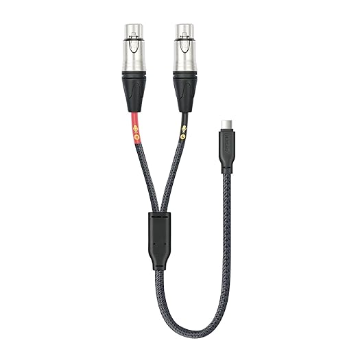 HUALUE 6.6FT Duplex XLR-Type USB-C Stereo Recording Cable, iPhone Mic Cable with USB-C to XLR Female for iPhone 15 & iPad