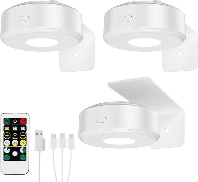 Picture Lights with Remote, Wireless Rechargeable Battery Operated Wall Light 3 Pcs Dimmable and Timer Metal Art Light for Paintings,Display, Wall, Artwork, Gallery (White)
