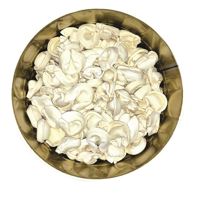 Freeze Dried Cheese Tortellini Can with Delicious Ricotta & Romano Cheeses Emergency Food Supply | Hunting, Survival, Camping, Backpacking Long Term Food Storage (25+ years shelf life) Pack of 6