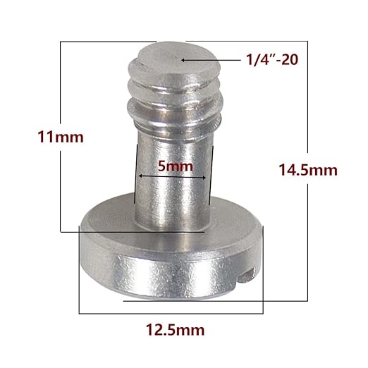 BGNing 2 Pcs M5 Knurled Thumb Screw Threaded 1/4 3/8 Thumbscrew Knobs Adapter Mount High Step Slotted Head Hand Tighten Compatible with GoPro Cameras (2Pcs 1 4 Steel Screw)