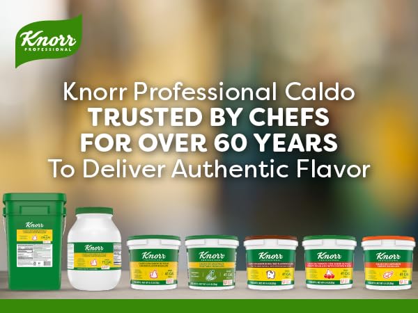 Knorr Professional Caldo de Res, Beef Bouillon with Beef Flavor Granulated Base, Bouillon as a Base, Marinade, Flavor Enhancer, Shelf Stable Convenience, 0g Trans Fat, 4.4 lbs (Pack of 2)