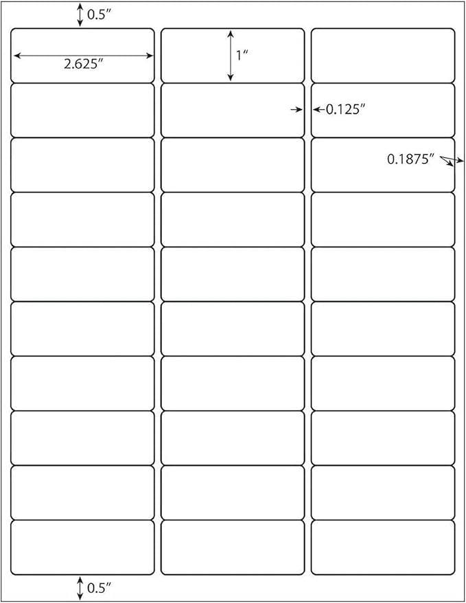 LabelMore 30 up Labels 1" X 2-5/8" Shipping Address FBA Label for Laser and Inkjet Printers (4000 Sheets / 120000 Labels)