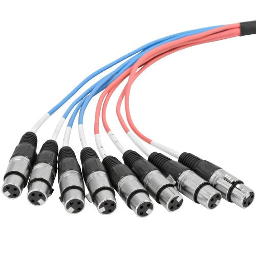 Seismic Audio - SAXT-8x20F - 8 Channel 20' XLR Female to 1/4" TRS Snake Cable