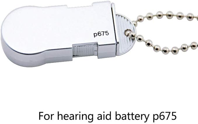 Hearing Aid Battery Case Small - Plastic Button Cell Holder Storage Caddy with Key Chain (for P675)