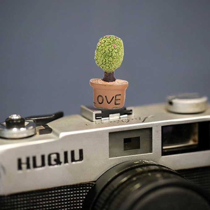 Camera Hot Shoe Cover, Cartoon Plants Cactus Hot Shoe Cap, Hot Shoe Protector Compatible with Sony Fujifilm Fuji Canon Nikon Pentax Leical Panasonic (2pcs Love)