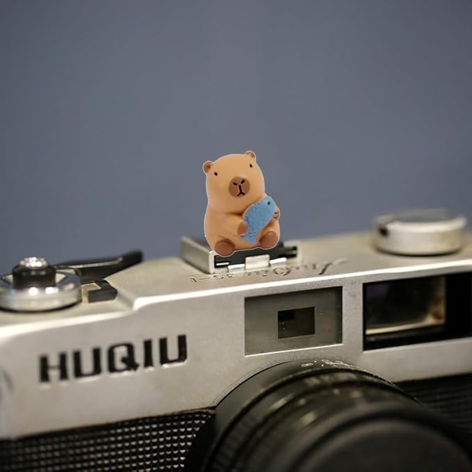 Camera Hot Shoe Cover, Cute Hot Shoe Cap, Hot Shoe Protector Compatible with Sony Fujifilm Fuji Canon Nikon Pentax Leical Panasonic (2pcs Capybara)