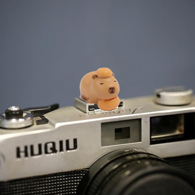 Camera Hot Shoe Cover, Cute Hot Shoe Cap, Hot Shoe Protector Compatible with Sony Fujifilm Fuji Canon Nikon Pentax Leical Panasonic (2pcs Capybara)