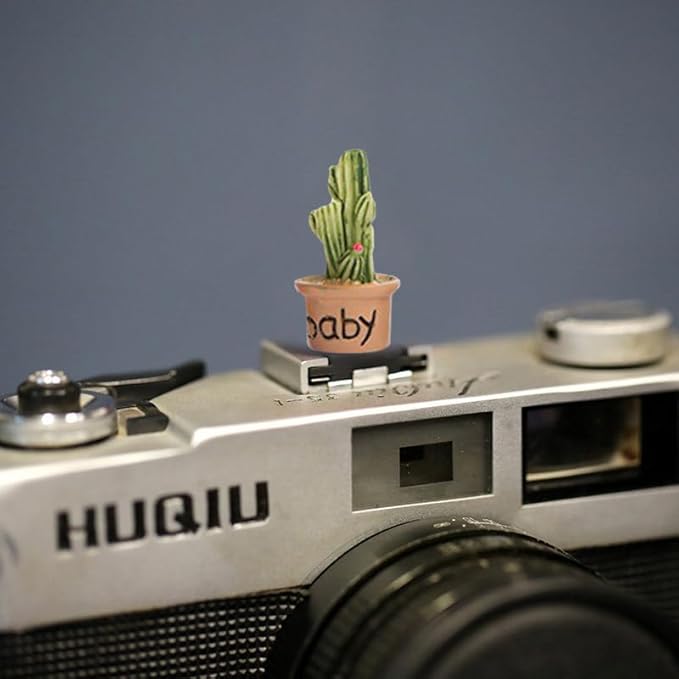 Camera Hot Shoe Cover, Cartoon Plants Cactus Hot Shoe Cap, Hot Shoe Protector Compatible with Sony Fujifilm Fuji Canon Nikon Pentax Leical Panasonic (2pcs Happy Baby)