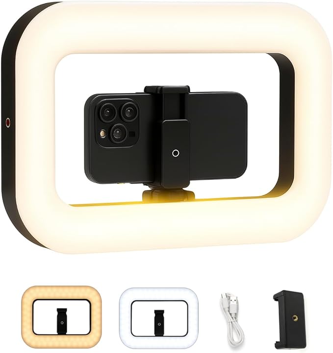 Smartphone Video Rig LED Ring Light, Rechargeable Handheld Phone Video Stabilizer, 8000mAh Built-in Battery for Recording & Streaming, Camera, YouTube, Tiktok, Makeup, ZanaTech