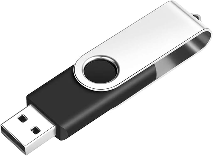 EASTBULL 50 Pack 4GB Bulk Flash Drive USB 2.0 4GB Flash Drives Pack Thumb Drives Bulk Swivel Bulk USB Drives, Black