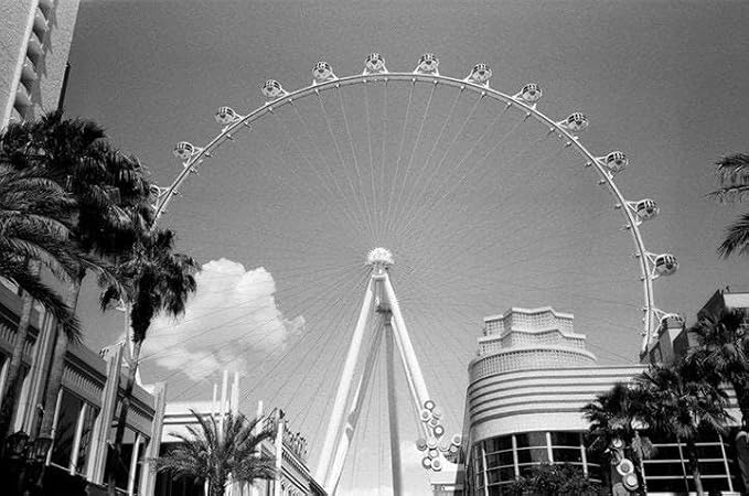ISO400 35mm Black and White Film for Street Photography, 35 mm Roll with ISO 400, Scan Friendly Delivery for Editorial Workflow on Camera, 36EXP - 6 Pack