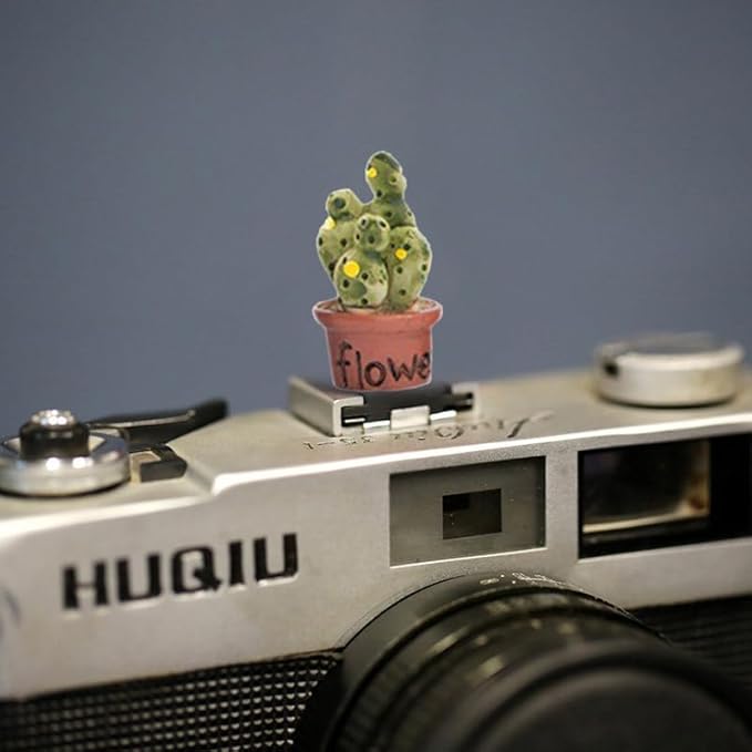 Camera Hot Shoe Cover, Plants Cactus Hot Shoe Cap, Hot Shoe Protector Compatible with Sony Fujifilm Fuji Canon Nikon Pentax Leical Panasonic (2pcs Friend Flower)