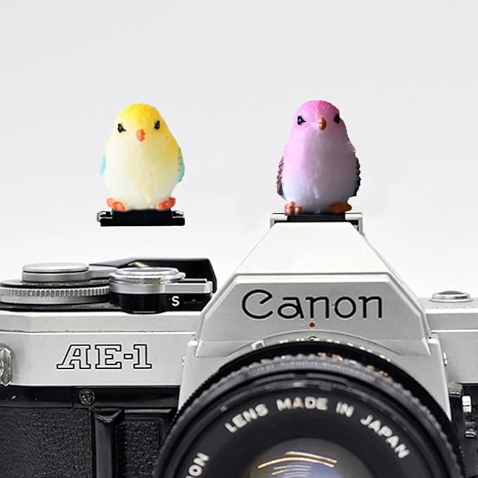 ZOSTLAND Special SLR Camera Hot Shoe Boot Cover Cap,Attractive Shoe Protector,Compatible with Sony Fuji Canon Nikon Pentax Leical. (2pcs Bird)