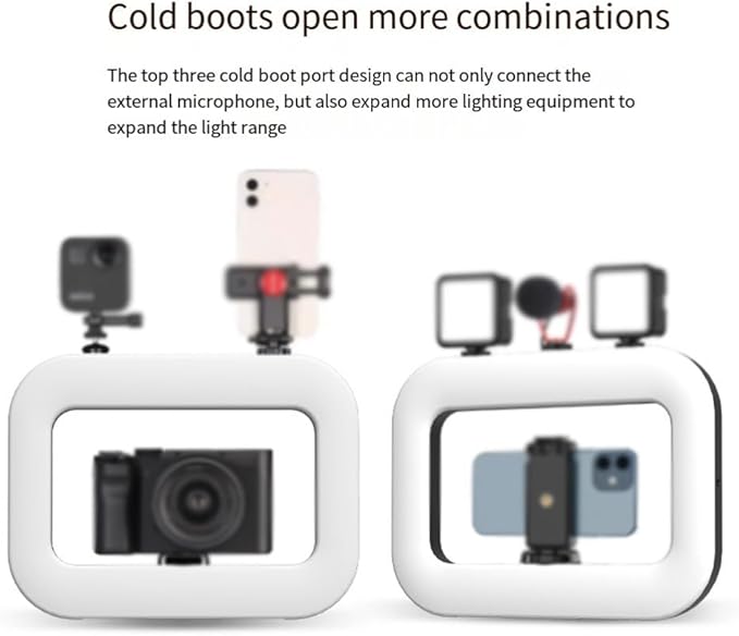 Smartphone Video Rig with Light, Handheld Ring Selfie Light Kit, Rechargeable Portable LED Mobile Video Stabilizer Lamp for Camera Video Recording