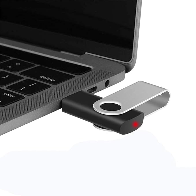 EASTBULL 50PCS 256MB Bulk Flash Drives USB 2.0 Flash Drives Pack 256MB Thumb Drive Swivel Bulk USB Stick(Black, 50 Units)