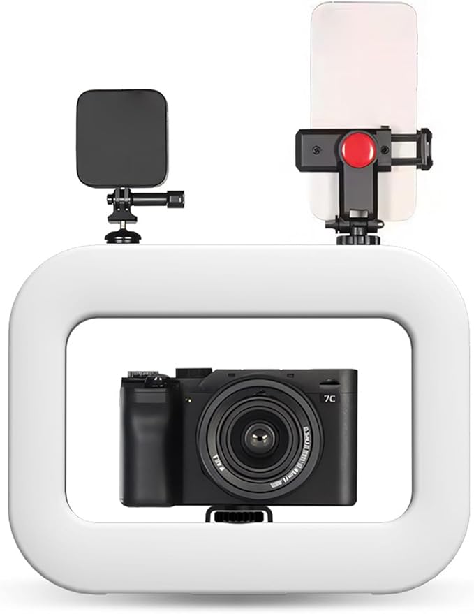 Smartphone Video Rig with Light, LED Selfie Light, 2500K to 8500K Brightness Adjustable, Phone Video Stabilizer, Ideal for Camera, Smartphone, Vlogging, Makeup & Filmmaking