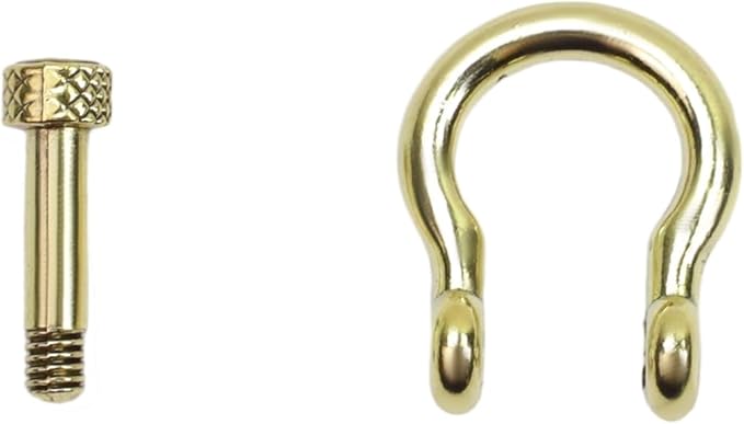 Semetall Screw Pin Anchor Shackle,10 PCS D Ring Shackle for Rigging, Lifting, Tow Strap, and Steel Wire Rope(15mm or 3/8")