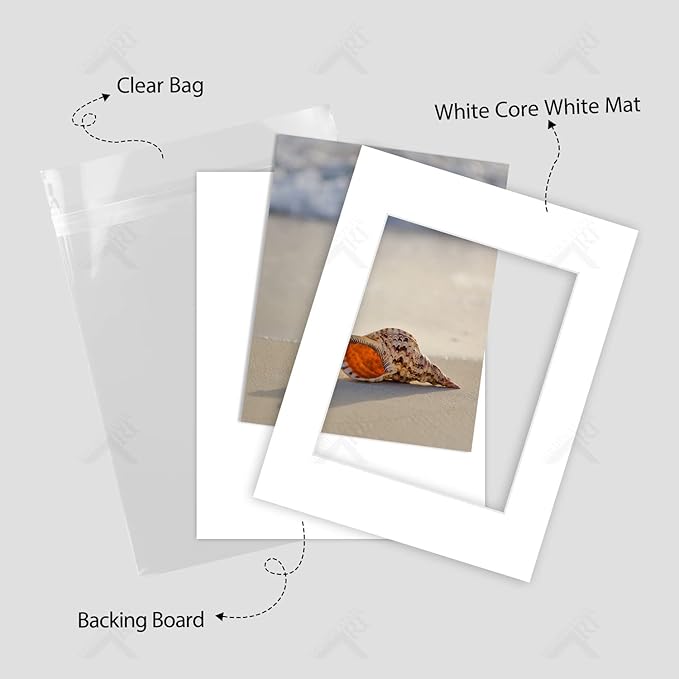 Golden State Art, Acid Free, Pack of 5, 11x14 White Picture Mats Mattes with White Core Bevel Cut for 8x10 Photo + Backing + Bags