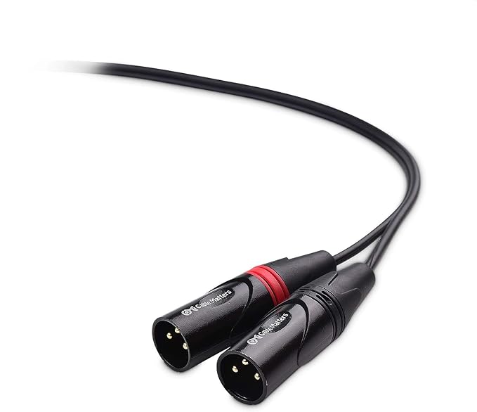 Cable Matters Dual RCA to XLR Unbalanced Interconnect Cable - 10ft, XLR to RCA Cable, Male to Male
