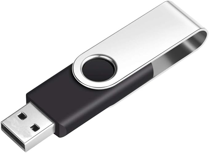EASTBULL 50PCS 256MB Bulk Flash Drives USB 2.0 Flash Drives Pack 256MB Thumb Drive Swivel Bulk USB Stick(Black, 50 Units)