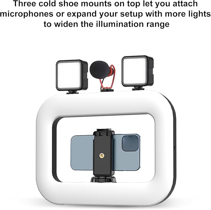 Selfie Phones Ring Light, Smartphone Video Rig, Rechargeable Handheld Phone Video Stabilizer with Phones Holder for Filmmaking