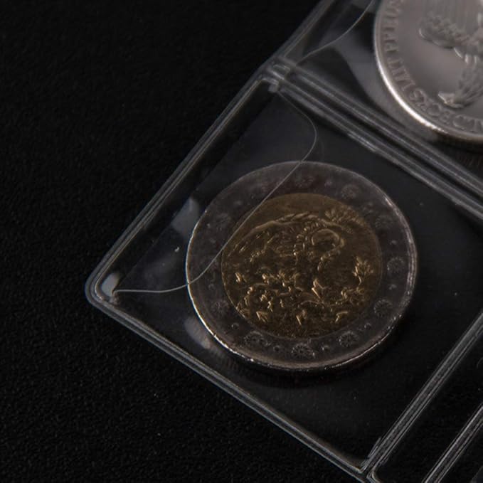 300 Pockets Coin Binders Pages - 1.38 inch Holders 10 pcs Loose-Leaf Sheets Acid-Free Collection Holders for Medallion Coin Stamp Currency Collecting Supplies 35x35mm / 1.38x1.38 inch CS03230