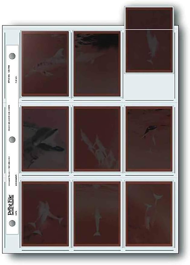 Print File Pkg 25 Archival 120 Negative Preservers. Holds 9 Individual 6x7 Sleeved Negatives or 18 collectable Cards or 2 1/2 x 3 1/2" Wallet Size Prints