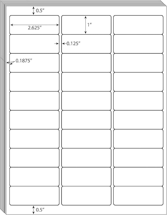 30 UP Labels 1" x2-5/8 Mailing Shipping Address FBA Label for Laser/Inkjet Printers, White Blank Sticker Name Tags, Printable Address Label (1000 Sheets, 30,000 Labels)