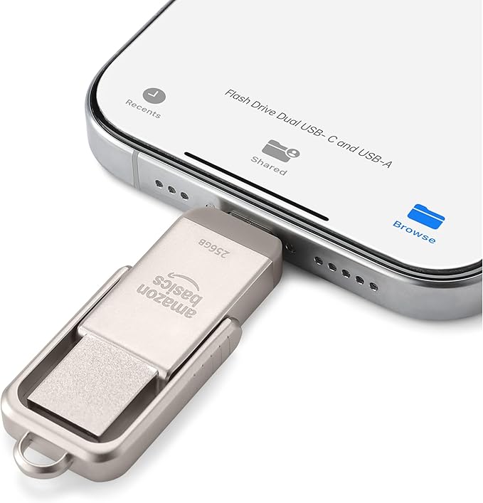 Amazon Basics USB Flash Drive, Thumb Drive Memory Stick with USB C and USB A Dual Ports, 256GB, Champagne Silver