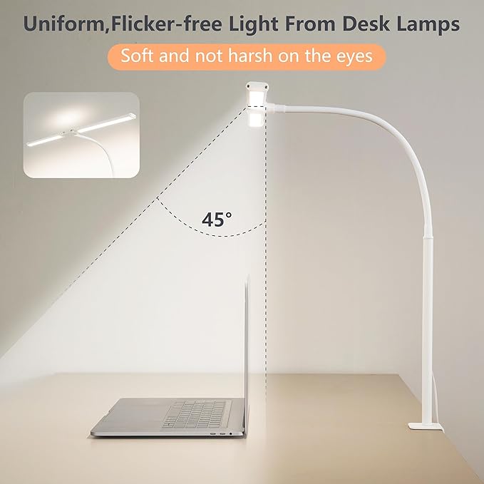 Dual-Head LED Desk Lamp for Office Home, Adjustable Flexible Eye-Caring Desk Light, 5 Modes 10 Brightness Adjustment, USB Adapter Desk Lamp with Clamp-ST-W