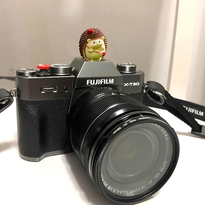 Camera Hot Shoe Cover, Cute Hot Shoe Cap, Hot Shoe Protector Compatible with Sony Fujifilm Fuji Canon Nikon Pentax Leical Panasonic (2pcs Hedgehog)