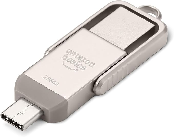 Amazon Basics USB Flash Drive, Thumb Drive Memory Stick with USB C and USB A Dual Ports, 256GB, Champagne Silver