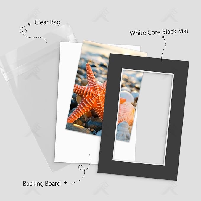 Golden State Art, Acid Free, Pack of 5, 4x6 Black Picture Mats Mattes with White Core Bevel Cut for 3x5 Photo + Backing + Bags