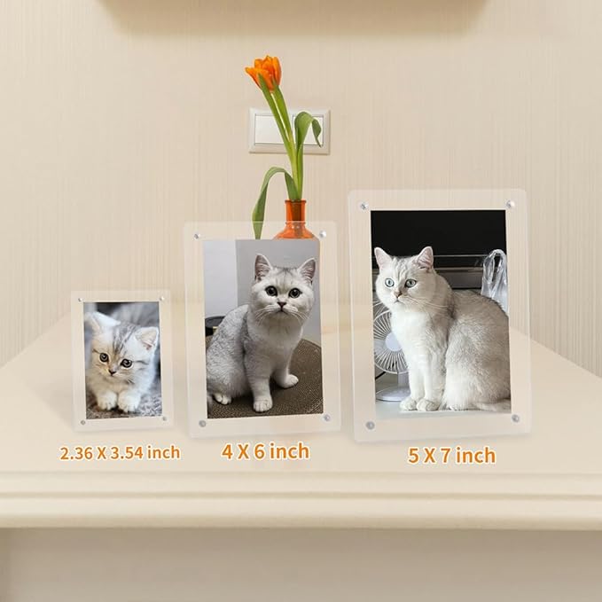 LIANHELILAI 5x7 Picture Frame Clear Acrylic Magnetic Tabletop Photo Frame Frameless with Removable Magnetic Stand for Home/Office Desk/Table Picture/Note Display, 2 Pack (Clear, 5 * 7 in)