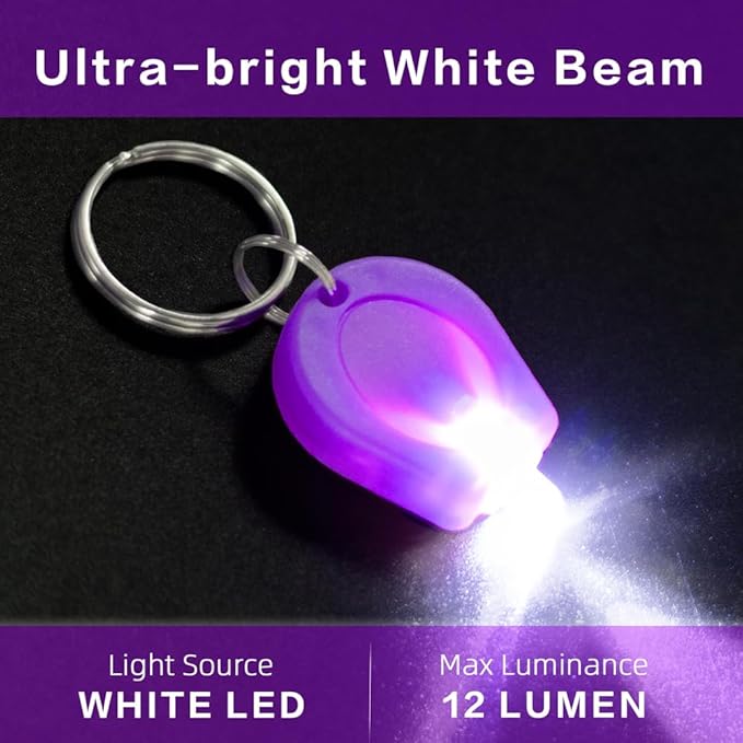10 Pack Ultra Bright Mini LED Keychain Flashlight, Small Key Ring Flashlight, Portable LED Keychain Light for Outdoor Activities Emergency Light - Pueple Shell
