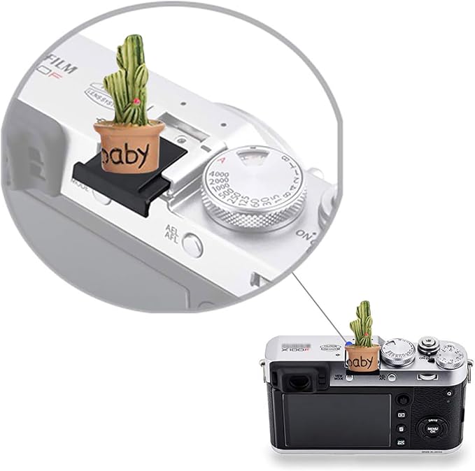 Camera Hot Shoe Cover, Cartoon Plants Cactus Hot Shoe Cap, Hot Shoe Protector Compatible with Sony Fujifilm Fuji Canon Nikon Pentax Leical Panasonic (2pcs Happy Baby)