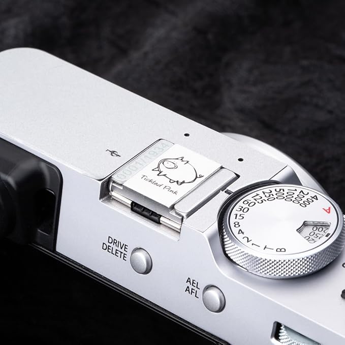 Camera Metal Hot Shoe Cover Protector Cap Cute Compatible for Fujifilm X100VI X100V X-M5 X-E5 X-T4 X-T3 for Leica Q Q3 (Piglet)